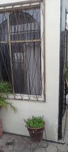 Agradable minidepartamento ambato, cerca de todo