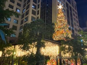 Stunning 1 BR Eastwood Condo Suite!