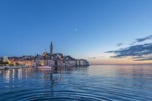 Studio apartment in Rovinj with Terrace, Air condition, WIFI, Washing machine (4686-5)