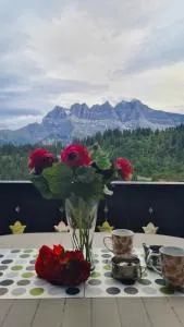 Pinson 17 - Val-d'Illiez