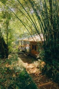 Margay - Reserva Natural y Lodge de Selva