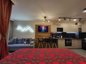 Pinewood ANG luxurious apartment A43, Borovets Gardens