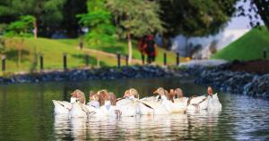 Nirvana Retreat By Patanjali Wellness Initiative - 4hvězdičkové hotely ve městě Rás al-Chajma