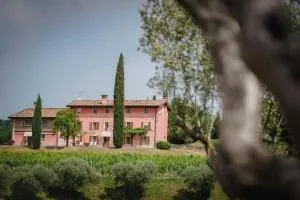 Appartamenti nelle Vigne - 卡帕瑞瓦德尔弗留利