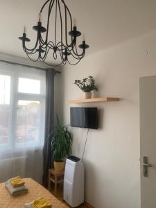 Anenska by Charles Bridge 1