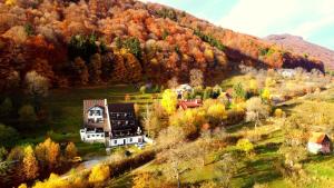 Pensiunea Ursuleț Bran