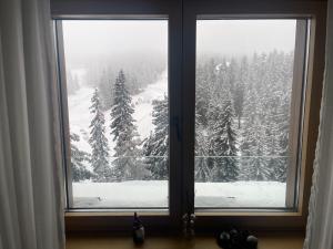 Woodside Duplex Apartment Ski in Ski out with garage