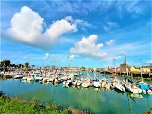 Appartements Studio Mer & Aa-terrasse-jardin-WIFI-parking-classe 3 etoiles : photos des chambres