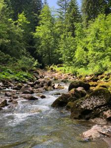 Chalets Luxury Chalet, stunning views with hot tub & sauna : photos des chambres