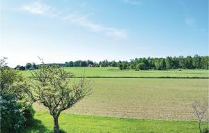 Beautiful Home In Södra Vi With Wifi