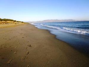 Panos Beach Hotel Chania Greece