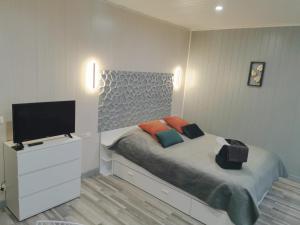 Appartements VITTEL LOC'S - Le 215 Classe 4 etoiles, Spacieux et calme : photos des chambres