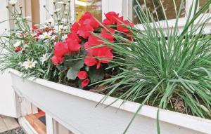 Beautiful Home In Färjestaden With Wifi