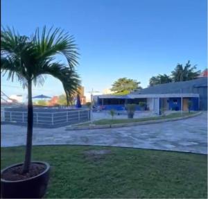 Terrazzo Flat PontaNegra