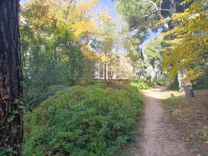 Appartements VUE MER et montagne dans parc du roy d'espagne, Up to 7 people : photos des chambres