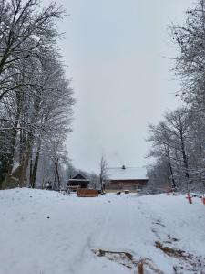 Agroturystyka LipoweWzgórze domek Antek