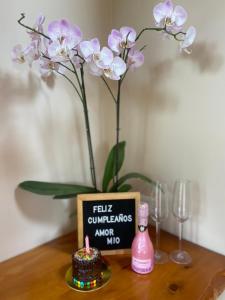 Glamping Entrearboles - Bellavista