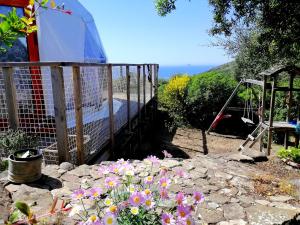 B&B Glamping Semaforo Capo Sperone img58