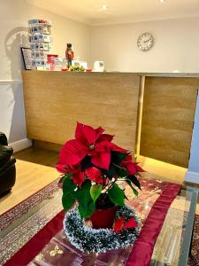 Melbourne House Hotel