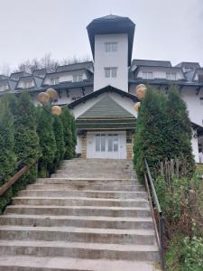 BELE STAZE-Brzece,Kopaonik