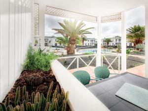 Azul Verde Corralejo