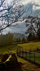 Apartamenty Karkonoska Dolina