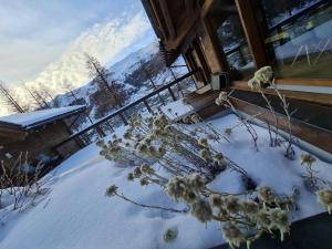 Blackberry Apartment