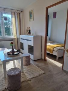 Apartament Błysk i Blask