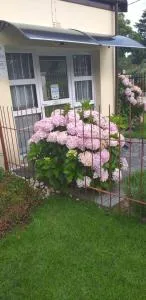 Kwa-Dlamathe Guesthouse - 丹地