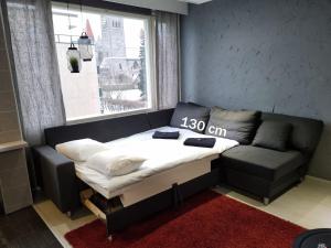 Central Gem with Sauna - Big two-room apartment FREE PARKING