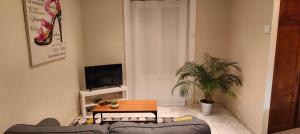 Charmant Appartement au Cœur de Fougères