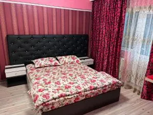 Apartament In Centrul Orasului - 巴克乌