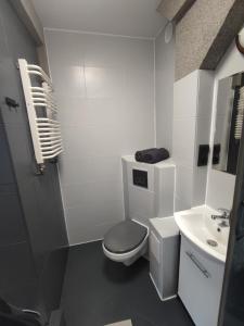 Apartament Fiński z sauną