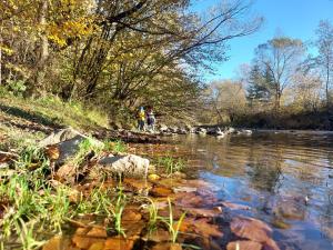 Bieszczady Beztroska Chata