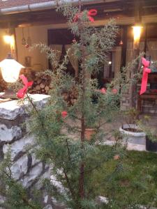 Guesthouse Gonia Euritania Greece