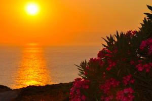 Golden Sun Patmos Greece