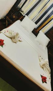 Bungalows des tropiques