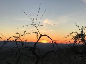 obrázek - Holidays In The Heart Of Chianti