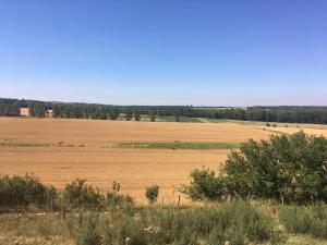 Le pigeonnier dOlivier