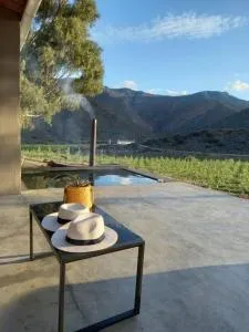 Delightful farmhouse with hottub - Goedgemoed