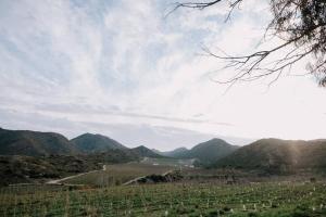 Delightful farmhouse with hottub