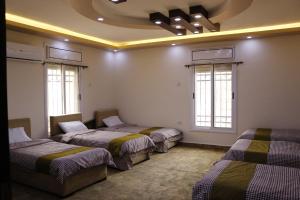 Petra Mountain House