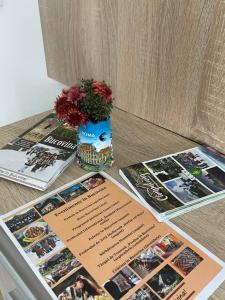 Casa Pietrele Doamnei