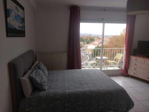 Appartements Residence d'Anjou - Grand studio avec balcon et parking privatif : photos des chambres