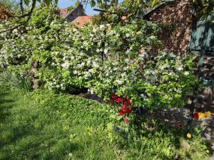 B&B / Chambres d'hotes Entre Meuse et foret : photos des chambres