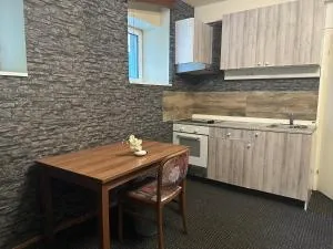 LMS Apartments - Bad Homburg - 腓特烈斯多夫