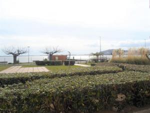 Appartement 26m² avec jardin et animaux admis à Balaruc-les-Bains - FR-1-503-51