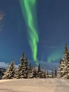 Small cozy apartment - Håkøya