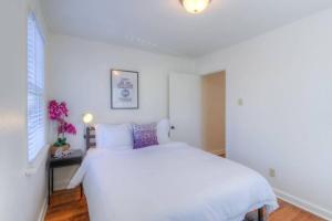 Jolly Jefferson Ave Walk to the Best of Midtown