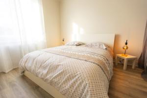 La Porte des Volcans